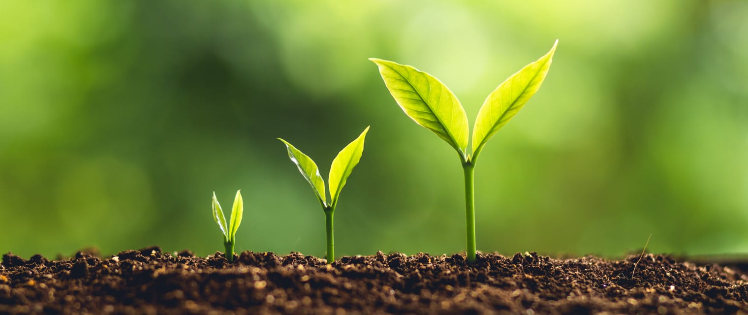 AICPA Survey Indicates Increased Optimism For Profits, Expansion, Employment, and Training.