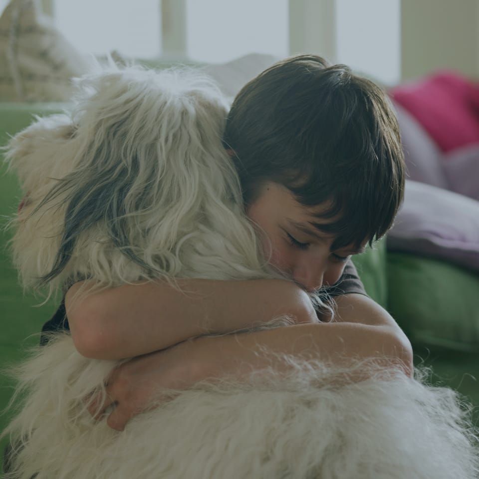 A young boy with dark hair is hugging a fluffy white dog closely. The boy's eyes are closed, and he appears to be content and peaceful. They are in a cozy indoor setting with a green sofa and colorful cushions in the background.