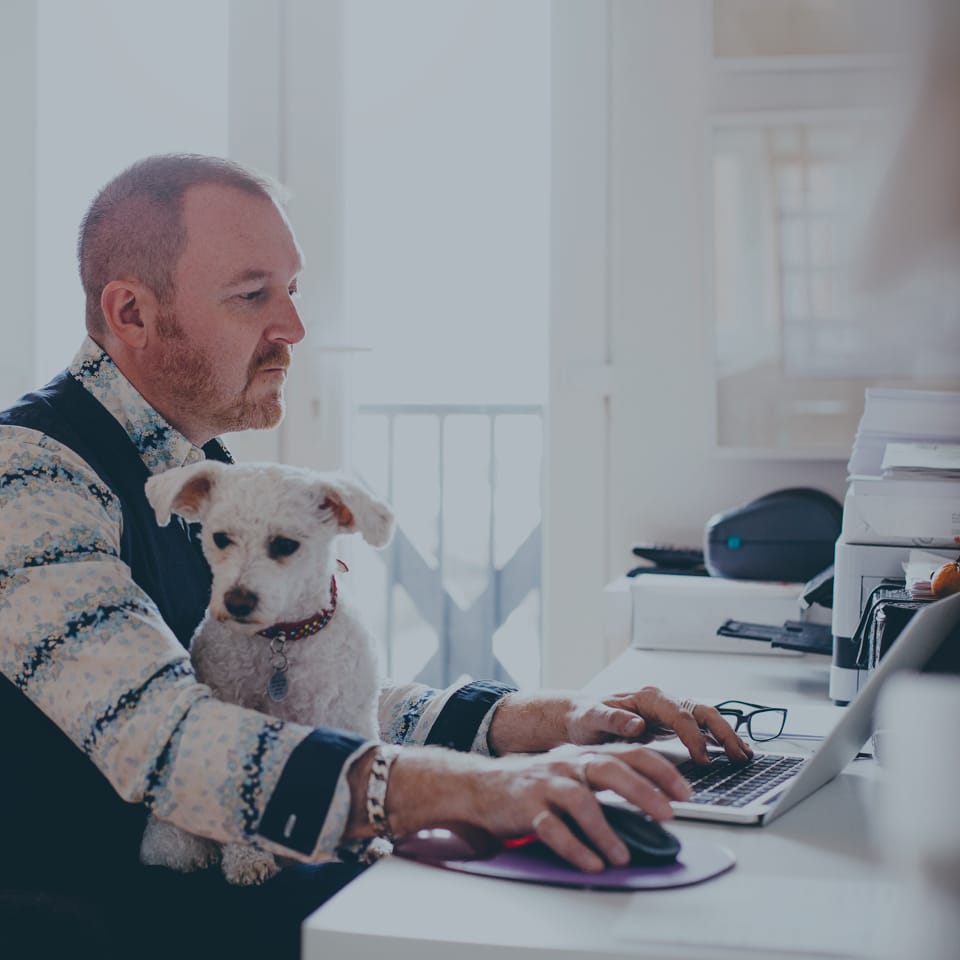 A man with a short beard is working on a laptop at a desk. He is wearing a patterned shirt and a dark vest. A small white dog with a pink collar is sitting on his lap, looking to the side. The background shows a bright room with a window and some shelves.