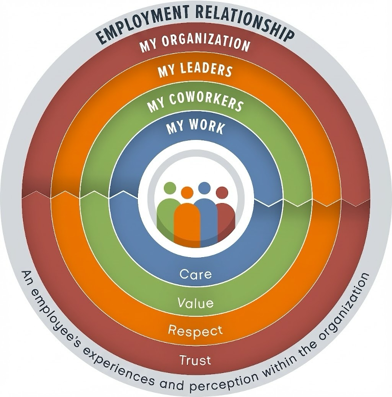 Circular diagram illustrating layers of the employment relationship: My Work, My Coworkers, My Leaders, My Organization, surrounded by Care, Value, Respect, Trust, representing employee experience and perception.